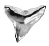 Silver Tooth Logo